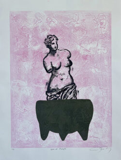 <span class="jr-art-title">VENUS DEL MOLCAJETE</span><span class="jr-art-detail">Monoprint on paper · 22” x 30” - framed: 26” x 34” · $1,000</span><a class="jr-art-inquire" href="mailto:joe@joeray.com?subject=Interested%20in%20%22VENUS%20DEL%20MOLCAJETE%22">Inquire to Purchase</a> VENUS DEL MOLCAJETE by Joe Ray