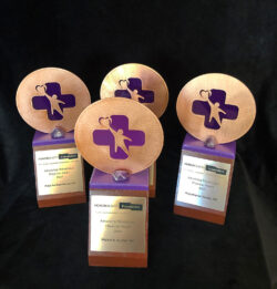 Advancing Philanthropy Physician Awards — custom award sculpture by Joe Ray
